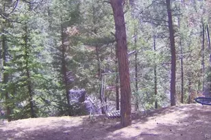 15751 S Elk Creek Road S, Pine, CO 80470 - Photo 31