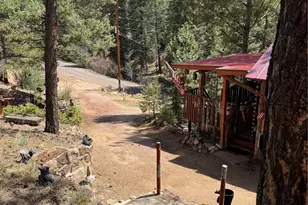 15751 S Elk Creek Road S, Pine, CO 80470 - Photo 9