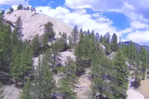 15751 S Elk Creek Road S, Pine, CO 80470 - Photo 29