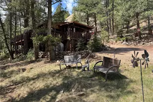 15751 S Elk Creek Road S, Pine, CO 80470 - Photo 7