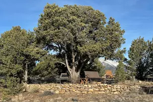 12880 County Rd 261B, Nathrop, CO 81236 - Photo 33