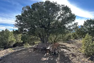 12880 County Rd 261B, Nathrop, CO 81236 - Photo 31