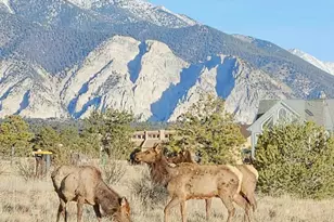 12880 County Rd 261B, Nathrop, CO 81236 - Photo 39