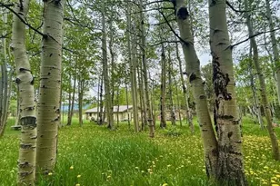 1746 Lump Gulch Rd, Black Hawk, CO 80422 - Photo 35