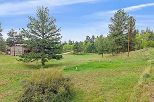 12564 S Lora Ave, Pine, CO 80470 - Photo 27