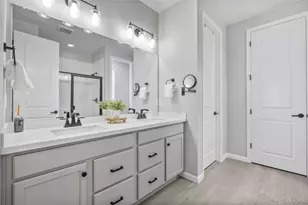 1683 Castle Vis Wy, Castle Rock, CO 80104 - Photo 19