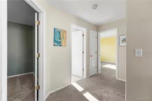 1246 Laurenwood Way, Highlands Ranch, CO 80129 - Photo 19