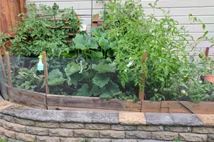 1246 Laurenwood Way, Highlands Ranch, CO 80129 - Photo 39