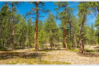 29700 S Sunset Trail, Conifer, CO 80433 - Photo 3