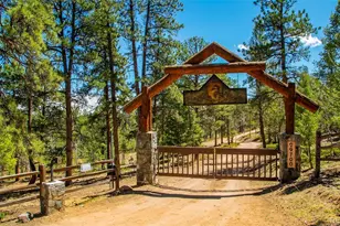 29700 S Sunset Trail, Conifer, CO 80433 - Photo 7
