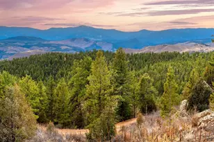 29700 S Sunset Trail, Conifer, CO 80433 - Photo 5