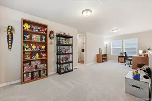 8132 Isabel Pl, Peyton, CO 80831 - Photo 17