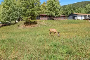 1035 Park View, Woodland Park, CO 80863 - Photo 3