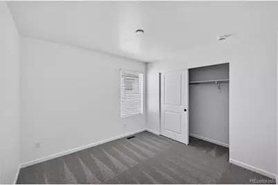 315 N Bently Street, Watkins, CO 80137 - Photo 13