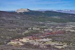 5962 Hwy 65, Mesa, CO 81643 - Photo 1