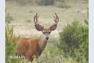 500 Two Creeks, Cotopaxi, CO 81223 - Photo 47