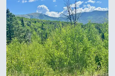 Lot 5850 Richardson Road, Fort Garland, CO 81152 - Photo 5