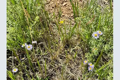 Lot 5850 Richardson Road, Fort Garland, CO 81152 - Photo 7