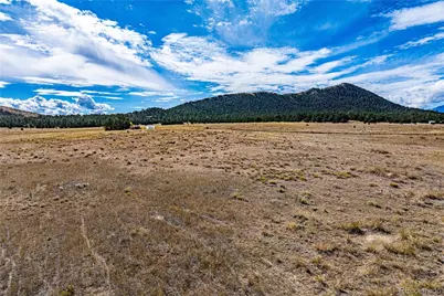 464 Burroback Court, Cotopaxi, CO 81223 - Photo 7