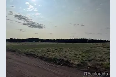 464 Burroback Court, Cotopaxi, CO 81223 - Photo 29