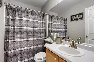 10235 Alexa Ln, Highlands Ranch, CO 80130 - Photo 19