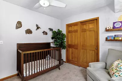 10972 Milliken Avenue, Conifer, CO 80433 - Photo 25