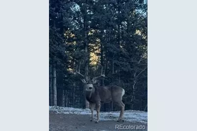 [Address not provided], Como, CO  - Photo 37