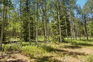 [Address not provided], Como, CO - Photo 33