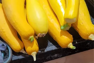 1401 Garrison St, Lakewood, CO 80215 - Photo 33