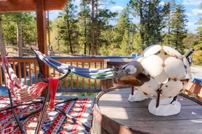 4805 County Road 72, Bailey, CO 80421 - Photo 7