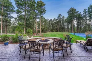 1892 Lake Dr, Larkspur, CO 80118 - Photo 41