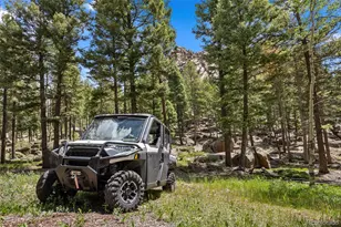 26271 Richmond Hill Rd, Conifer, CO 80433 - Photo 47