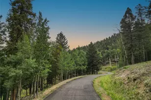 26271 Richmond Hill Rd, Conifer, CO 80433 - Photo 11