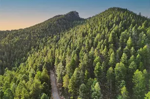 26271 Richmond Hill Rd, Conifer, CO 80433 - Photo 45