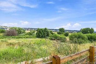 628 Yankee Boy Loop, Elizabeth, CO 80107 - Photo 47