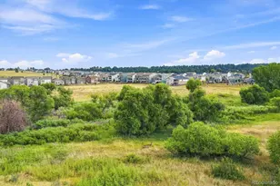 628 Yankee Boy Loop, Elizabeth, CO 80107 - Photo 49