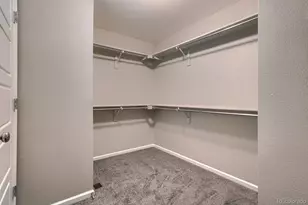 17126 E Cedar Gulch Dr, Parker, CO 80134 - Photo 31