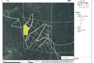 3504 Hidden Wilderness Rd, Idaho Springs, CO 80439 - Photo 21