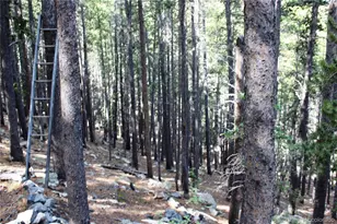 3504 Hidden Wilderness Rd, Idaho Springs, CO 80439 - Photo 5