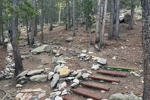 3504 Hidden Wilderness Rd, Idaho Springs, CO 80439 - Photo 13