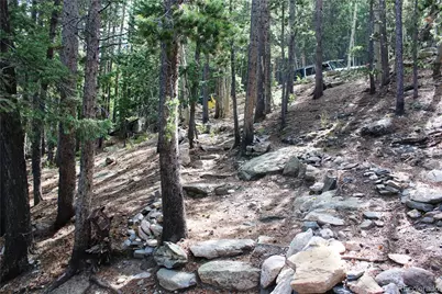 3504 Hidden Wilderness Road, Idaho Springs, CO 80439 - Photo 7