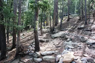 3504 Hidden Wilderness Rd, Idaho Springs, CO 80439 - Photo 7