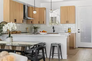 4527 W Wells Pl, Denver, CO 80204 - Photo 9