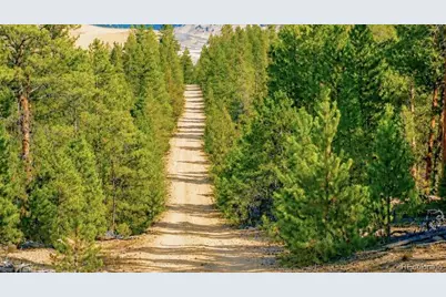 Lot 56 Lodgepole Drive, Twin Lakes, CO 80461 - Photo 5