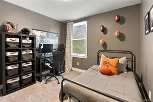 6662 E 123rd Dr, Brighton, CO 80602 - Photo 17