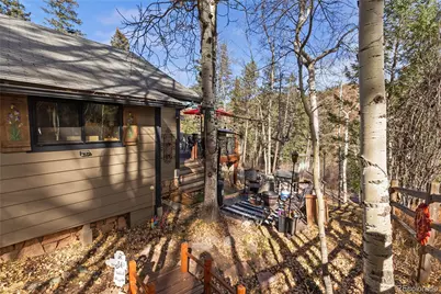 10155 Mountain Road, Green Mountain Falls, CO 80809 - Photo 9