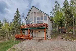 124 Bear Trail, Lake George, CO 80827 - Photo 3