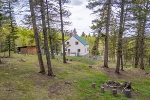 124 Bear Trail, Lake George, CO 80827 - Photo 49