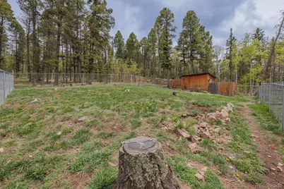 124 Bear Trail, Lake George, CO 80827 - Photo 39