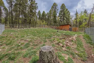 124 Bear Trail, Lake George, CO 80827 - Photo 39